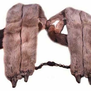 SHAWL, RUSSIAN SQUIRREL, 1957, GREY BACKS/WHITE BELLIES, EACH OF THE FOUR IS 28